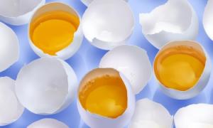 چگونه برای تعیین طراوت یک تخم مرغ مرغ و نحوه ذخیره آن به درستی