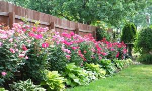طراحی گلدان ها در حیاط - ایجاد زیبایی در یک فضای محدود