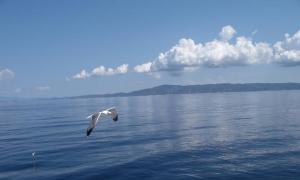 Halkidiki - vacanțe pe plajă și excursii