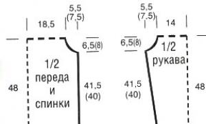 Cum de a calcula numărul de bucle pentru raglan atunci când tricotat pe partea de sus - diferite moduri