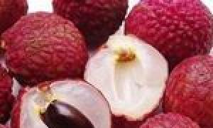 Lychee fructe: cum să crească de la o piatră acasă pe un prag de fereastră într-o oală?