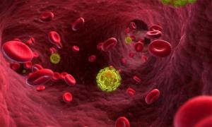 اولین علائم HIV در زنان: عفونت چگونه خود را نشان می دهد