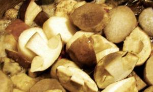 O selecție de rețete pentru murat ciuperci hribii pentru iarnă.