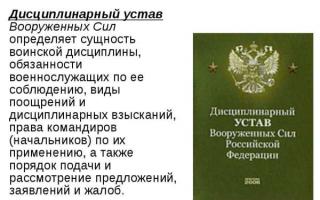 منشور انضباطی نیروهای مسلح فدراسیون روسیه - پرونده شماره 1