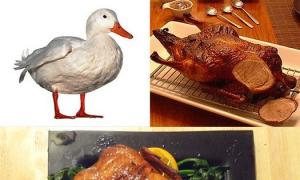 دستور تهیه اردک کامل کباب شده