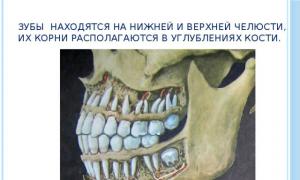 Durere sub maxilar, durerea iradiază către ureche, ganglioni limfatici inflamați, durere la deschiderea gurii, clicuri ale maxilarului