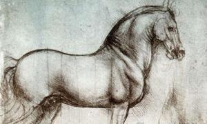 В чем гениальность Леонардо да Винчи?