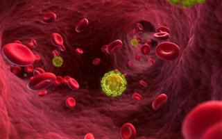Primele semne de HIV la femei: cum se manifestă infecția